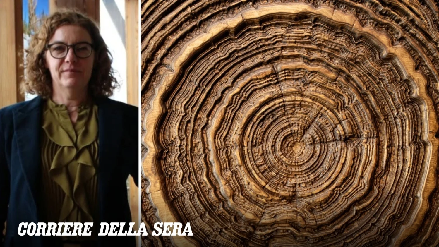 Dendrocronologia e voz das florestas: Valerie Trouet revela o que os anéis das árvores nos contam sobre música, história e clima