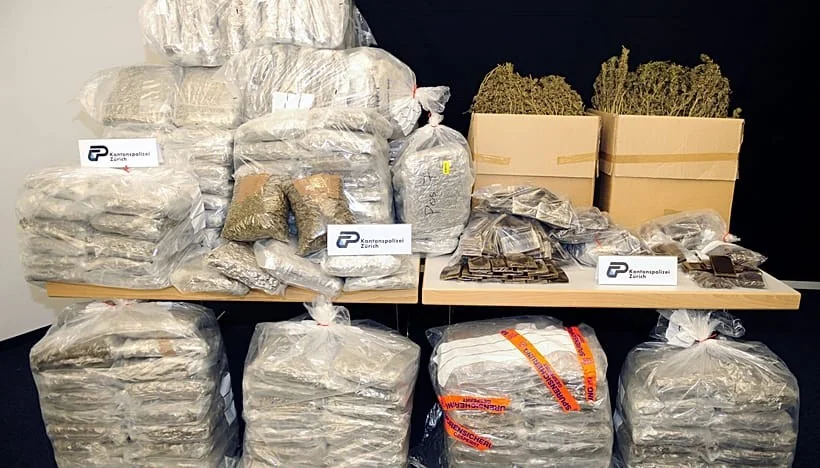 White hash chega a Pozzuoli: nova face do mercado de drogas e os riscos estratégicos do haxixe branco