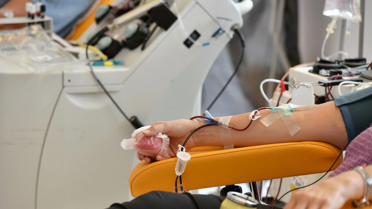 Alerta nacional: falta de sangue atinge sobretudo o grupo 0 positivo na Itália