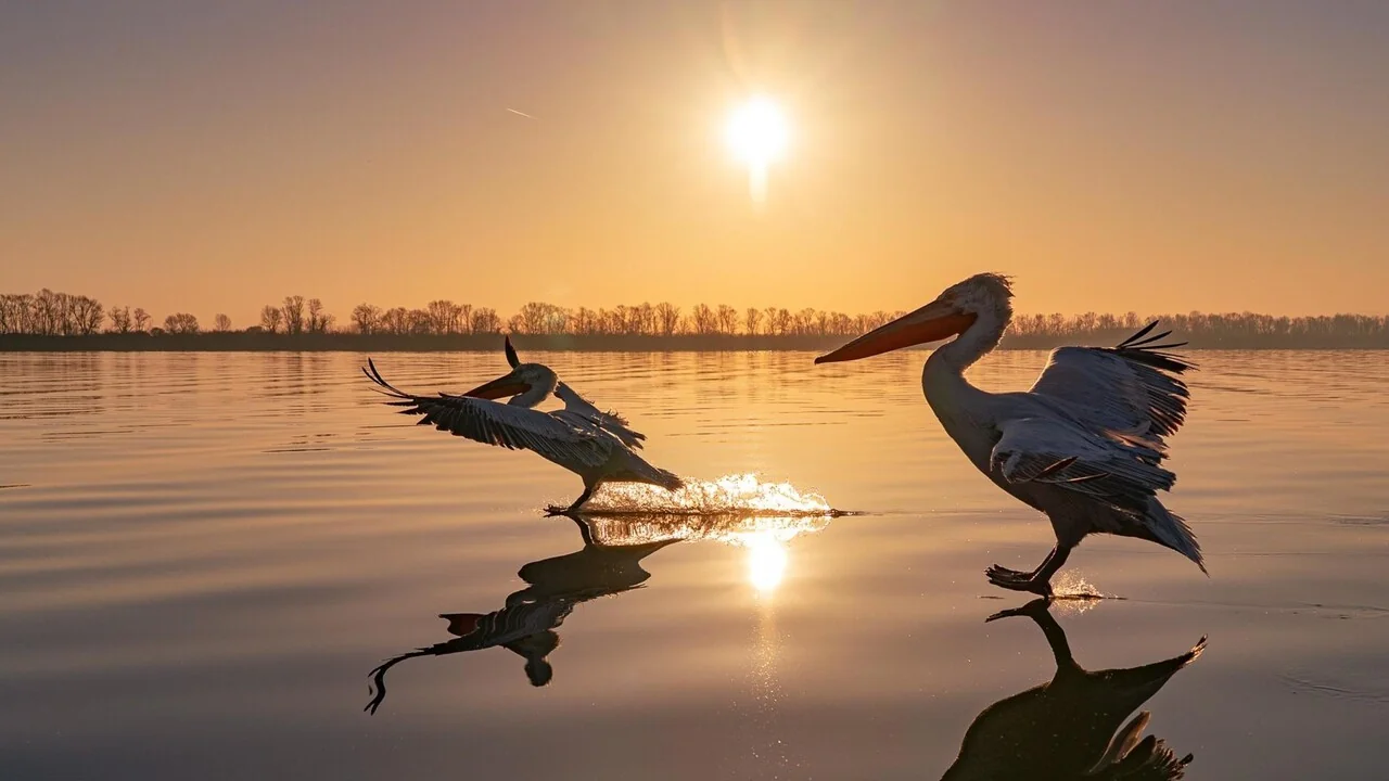 Bracciano recebe Photofest 'Immagini sul Lago': 13 exposições gratuitas à beira d'água