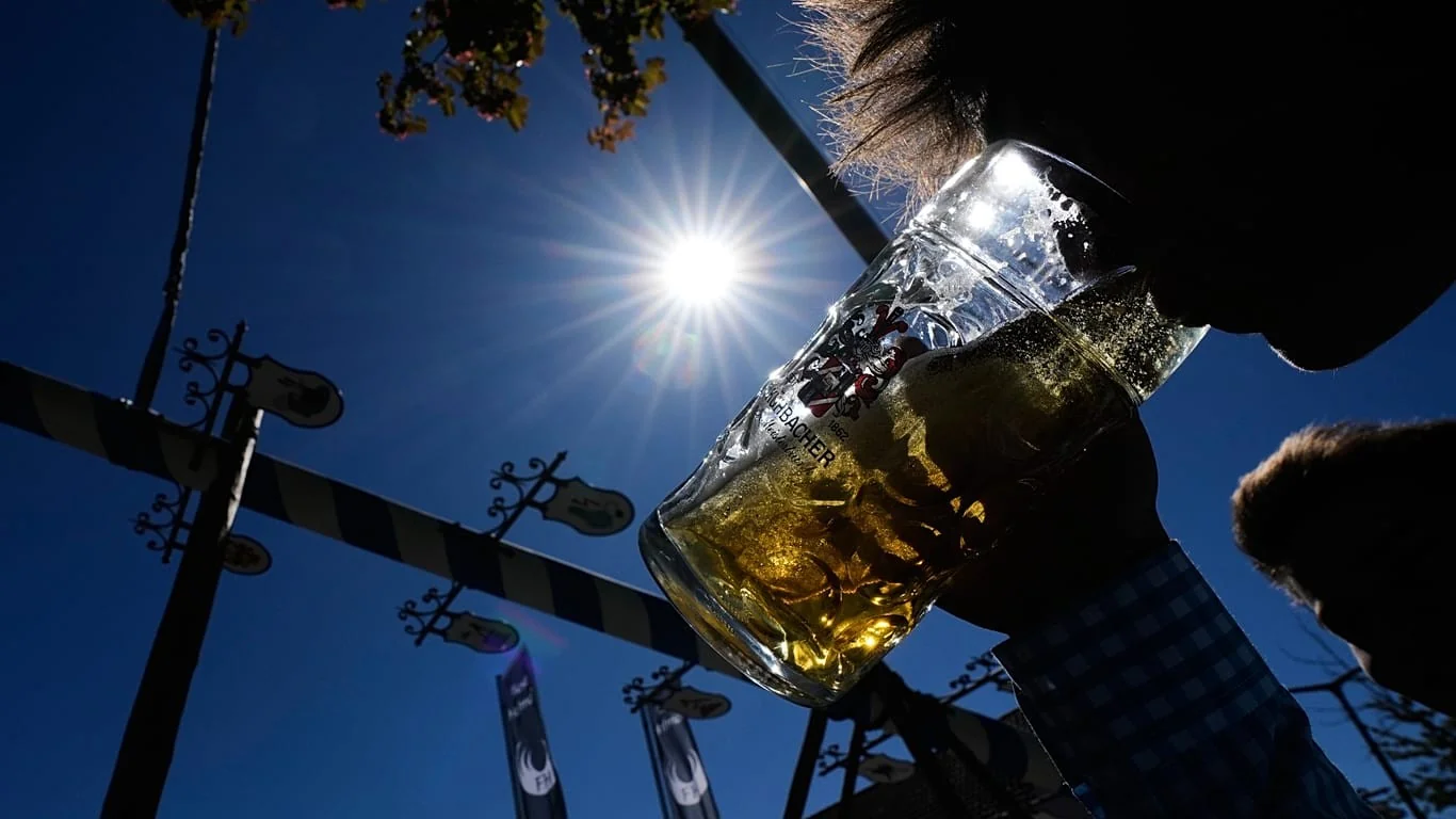 Calor e seca ameaçam o lúpulo: impacto na Oktoberfest e no abastecimento de cerveja