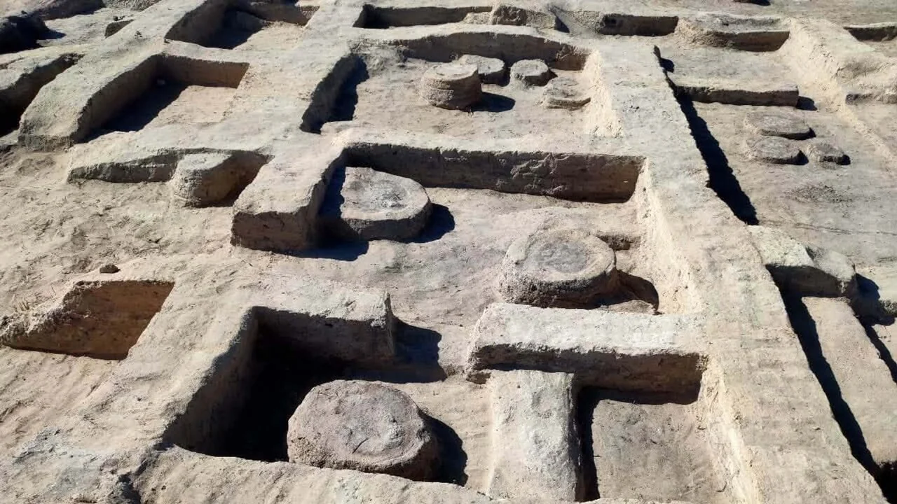 Cavalo sepultado e fragmento de stele do rei Merneptah revelados perto de Alexandria, Egito