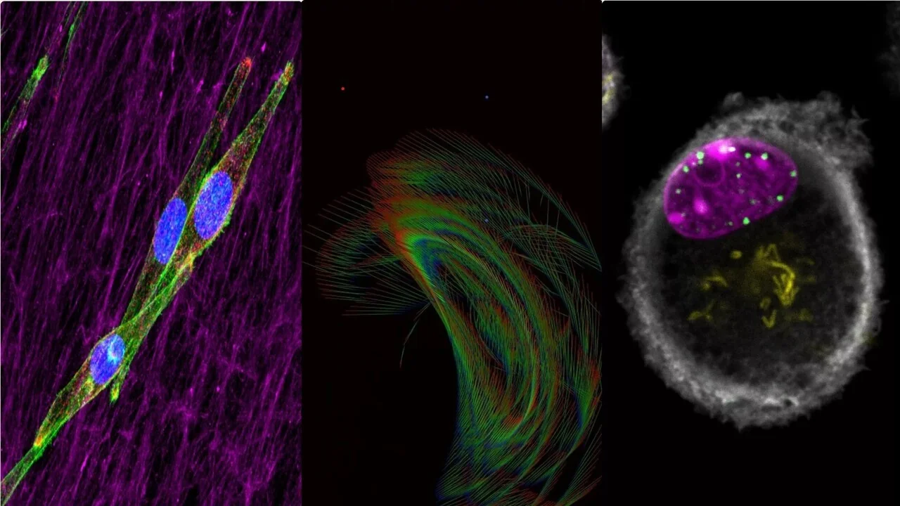 Ciência na cidade: 30 imagens de laboratórios chegam ao metrô de Milão