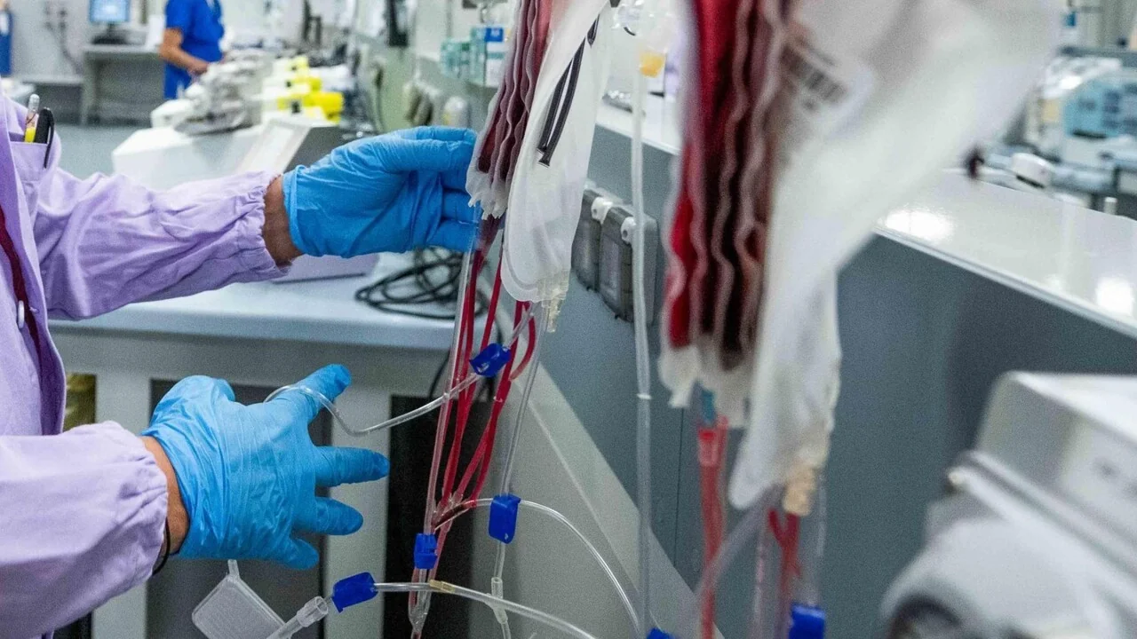 Doações de sangue nas Marche caem 6,7% nos primeiros sete meses de 2026 — queda acima da média italiana