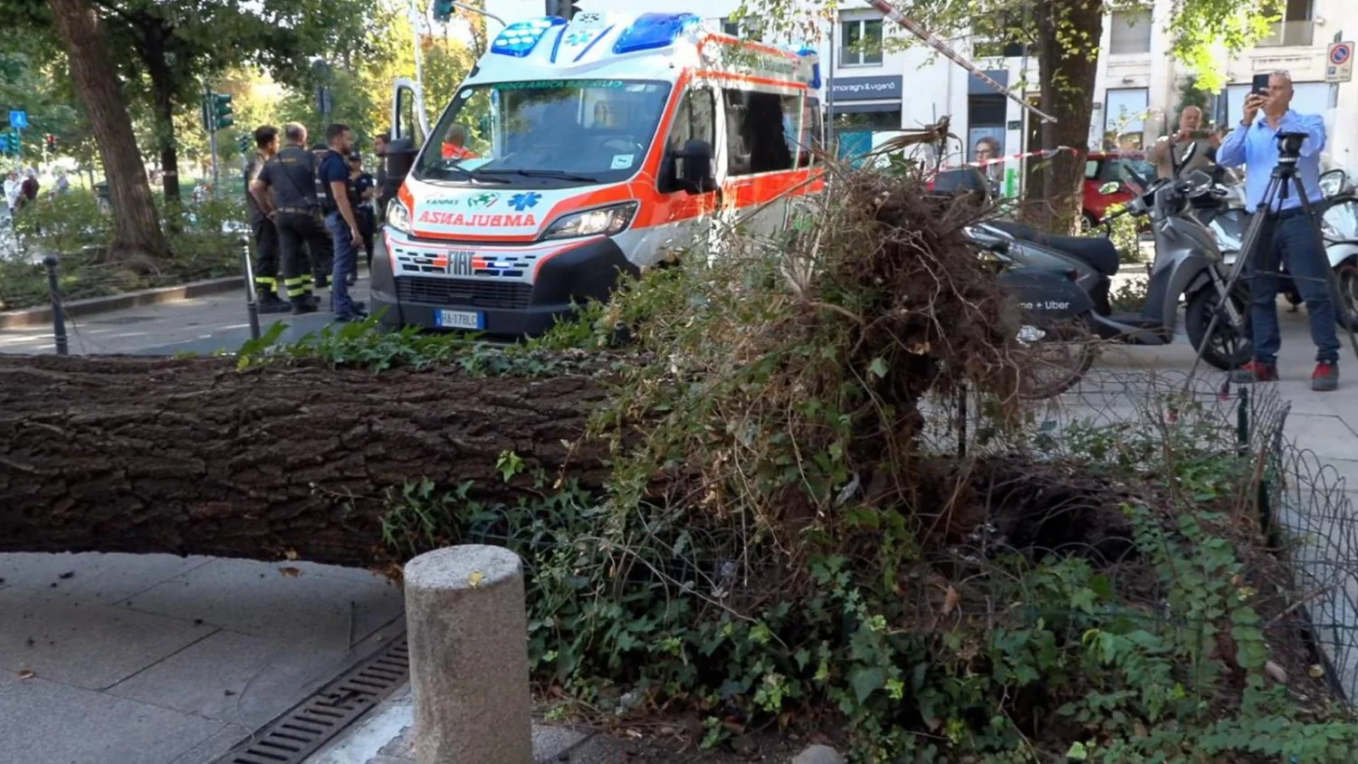 Queda de grande ramo em Piazza Risorgimento, Milano: três pessoas feridas