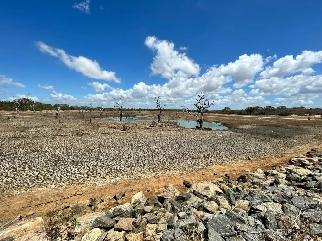 ONU alerta: El Niño assume proporções gigantescas e exige mobilização global