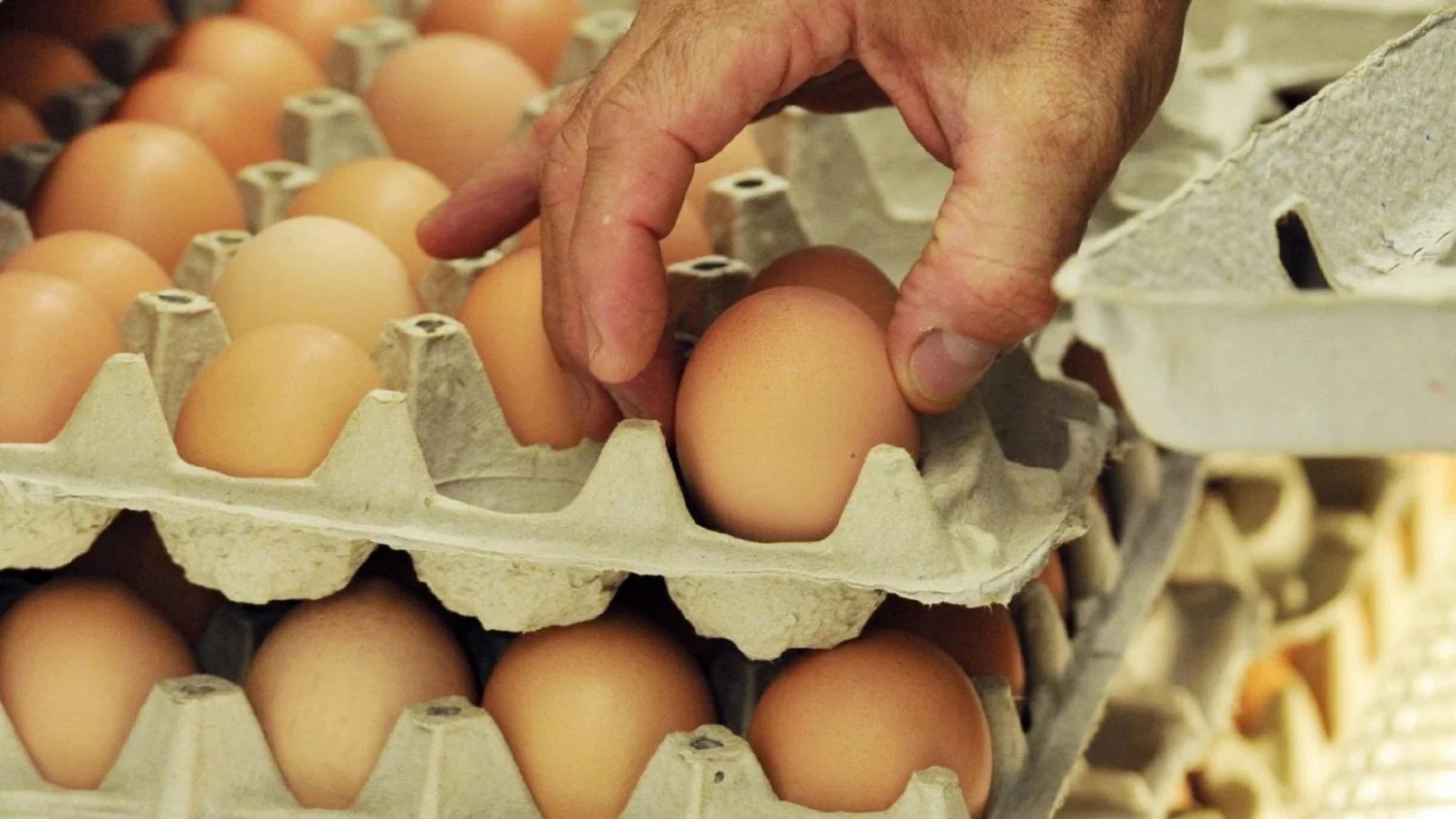 Ovos recolhidos por traços de Salmonella: lote H10813 afeta Selex, Despar e Fattorie Natura