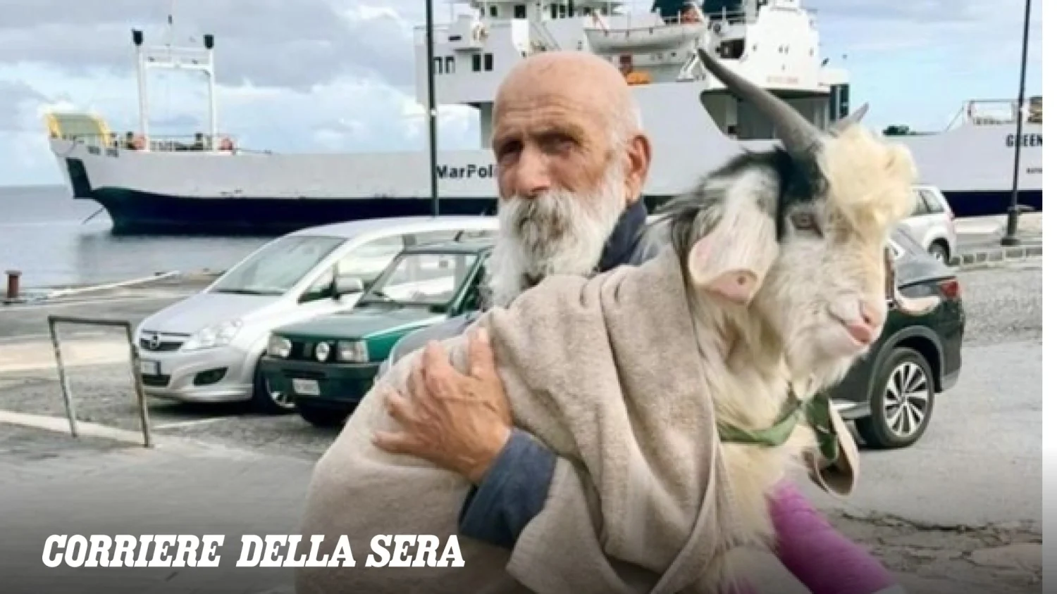 Pongo, o cabrito de Stromboli: adotado pelo pescador que o salvou e agora é protegido por lei