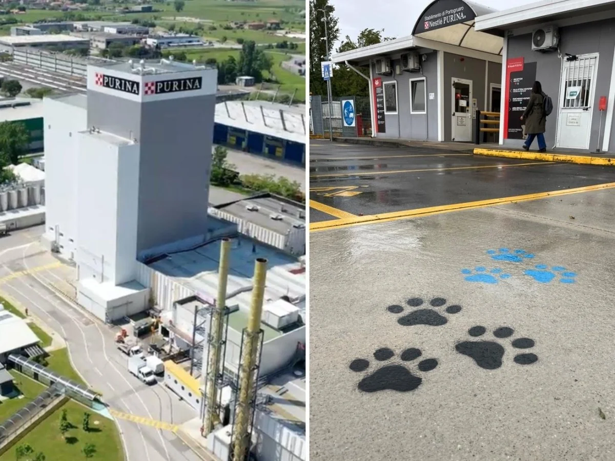 Purina celebra 40 anos em Portogruaro e transforma fábrica rumo ao pet food «super premium»