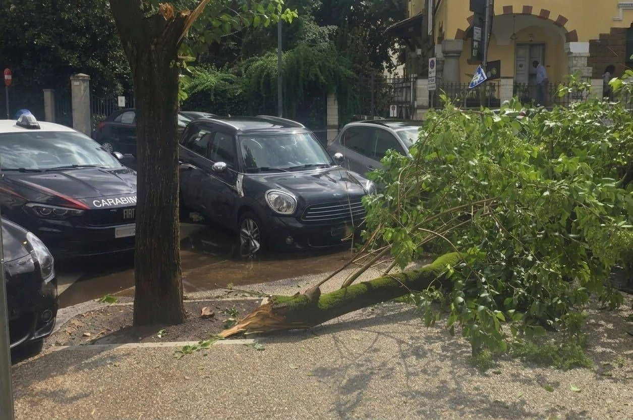 Ramo cai em frente ao Liceo Avogadro, em Coppedè: três estudantes ficam feridos
