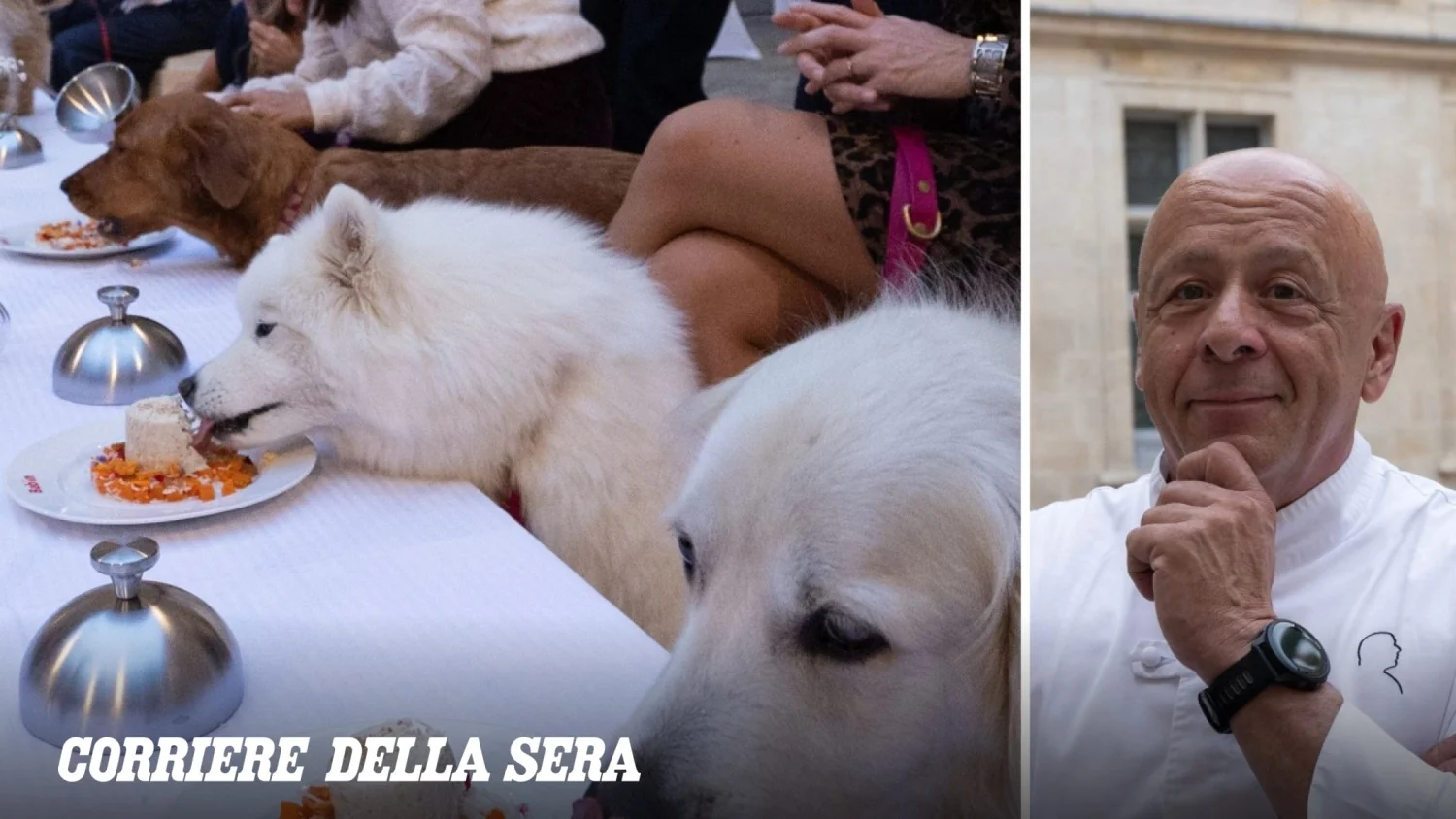 Thierry Marx transforma Carnavalet em restaurante gourmet para cães e doa 10 mil refeições