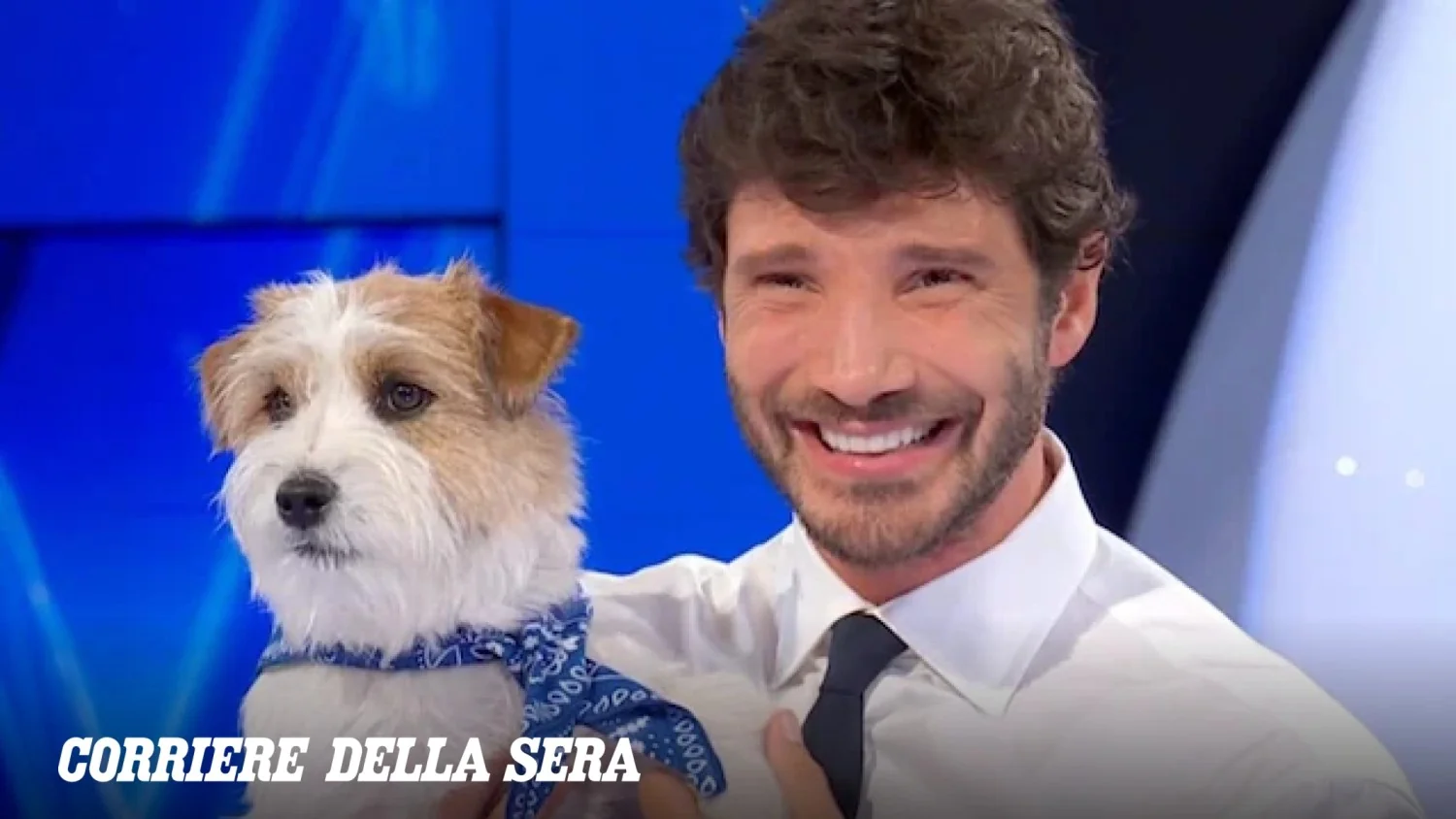 Tommasino, o novo rosto canino de Affari Tuoi: Stefano De Martino recebe o herdeiro de Gennarino