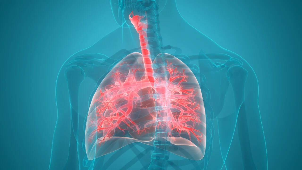 Nova terapia reduz em 37% risco de progressão do tumor de pulmão com mutação HER2