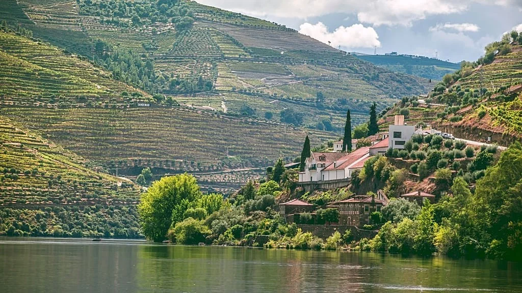 Tripadvisor revela os melhores roteiros gastronômicos de 2026: descubra os passeios que vão além do prato