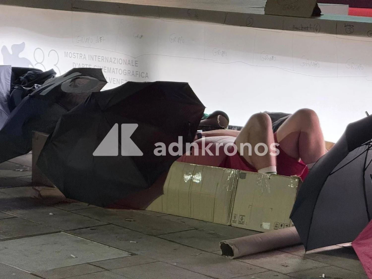 Veneza 83: a tenacidade dos fãs que montaram uma cama de papelão para garantir a primeira fila