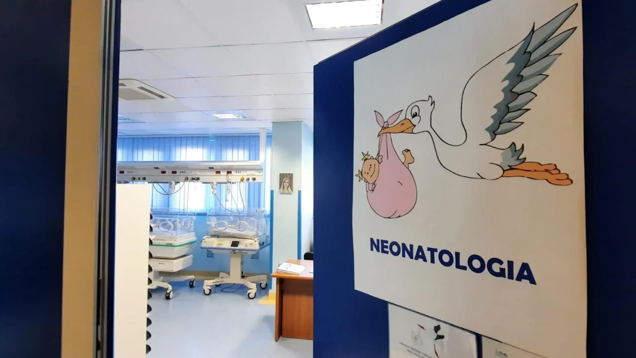 Neonatologistas italianos pedem: zero álcool na gravidez para prevenir a síndrome feto-alcoólica