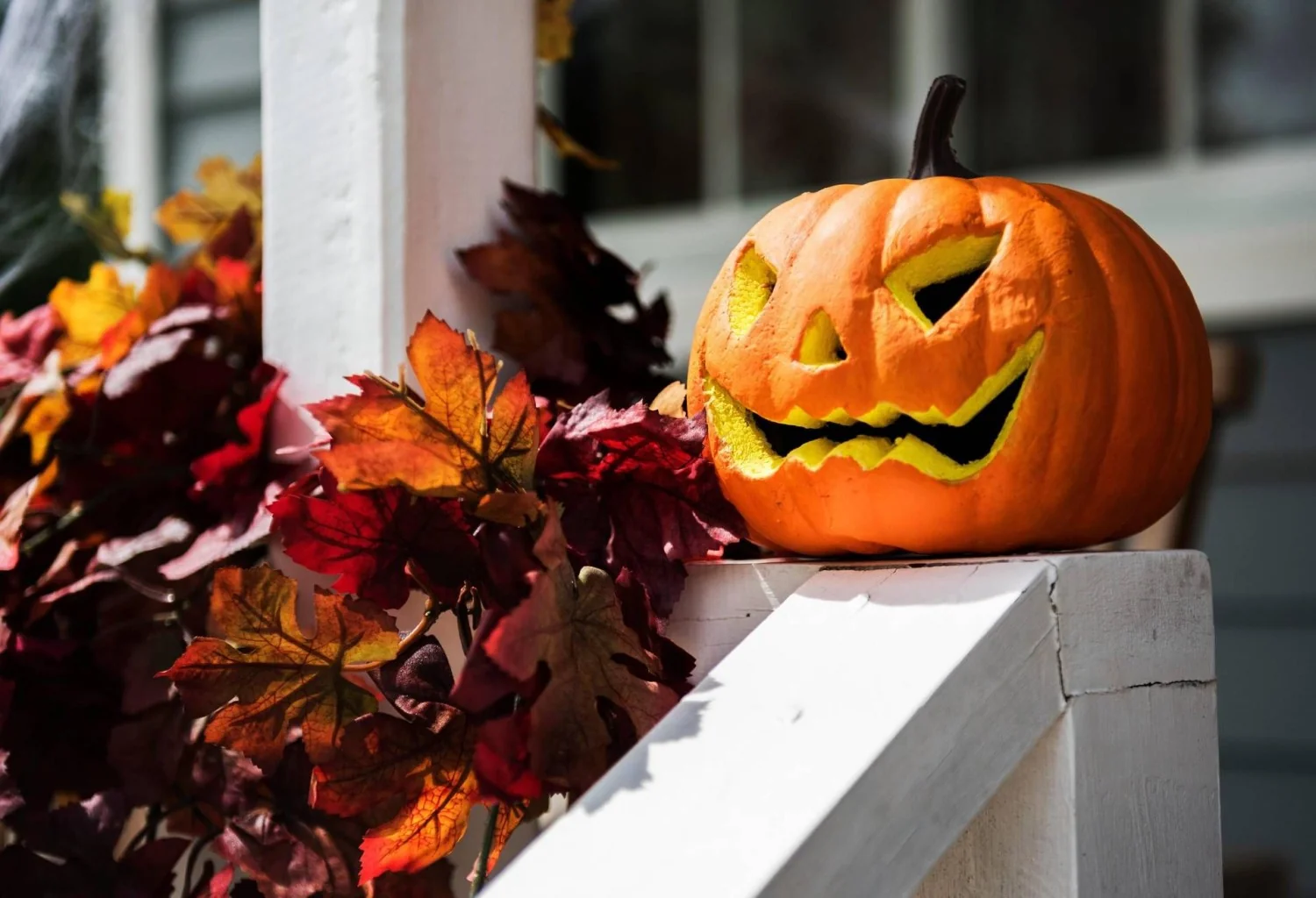 Abóbora e sementes: o lado saboroso e saudável por trás das lanternas de Halloween