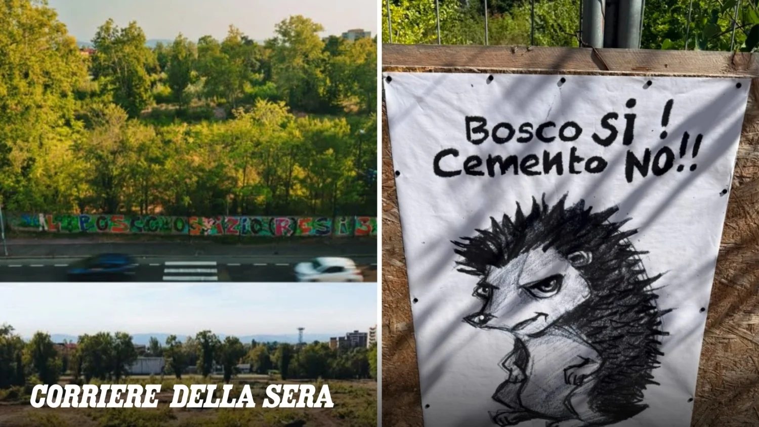 Bosco Ospizio: iniciam cortes em 4,5 hectares em Reggio Emilia; ao menos 9 espécies de morcegos detectadas