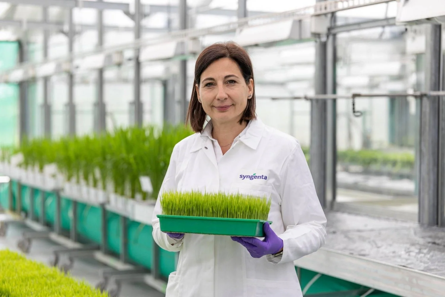 Camilla Corsi, líder da Syngenta, é premiada pela American Chemical Society por avanços em proteção de culturas