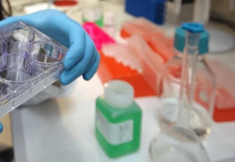 Câncer de bexiga: sangue na urina é sinal que não pode ser subestimado, alerta Aiom no ESMO 2026