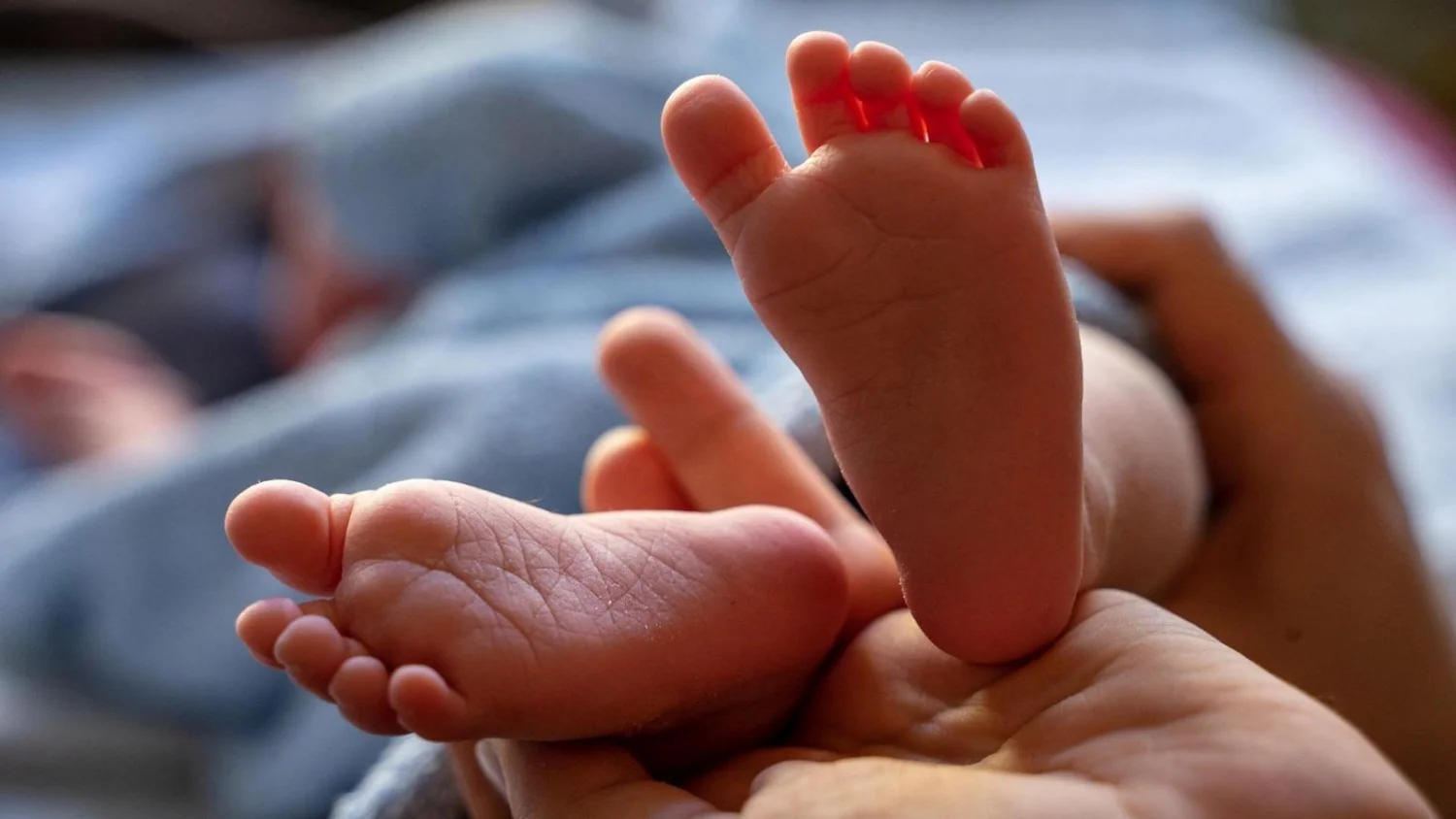 Denatalidade na Itália: 2025 registra cerca de 14 mil nascimentos a menos, aponta Istat