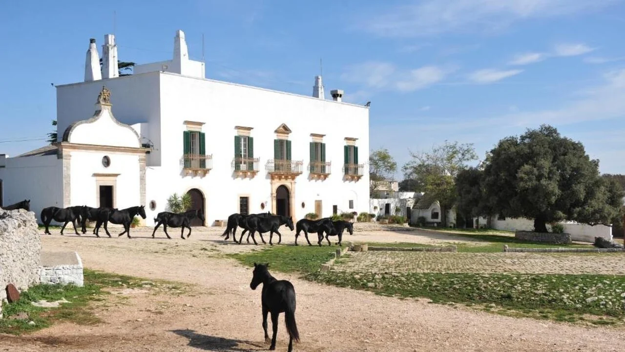 Dimore storiche e agricultura: quando o patrimônio rural italiano floresce entre tradição e inovação