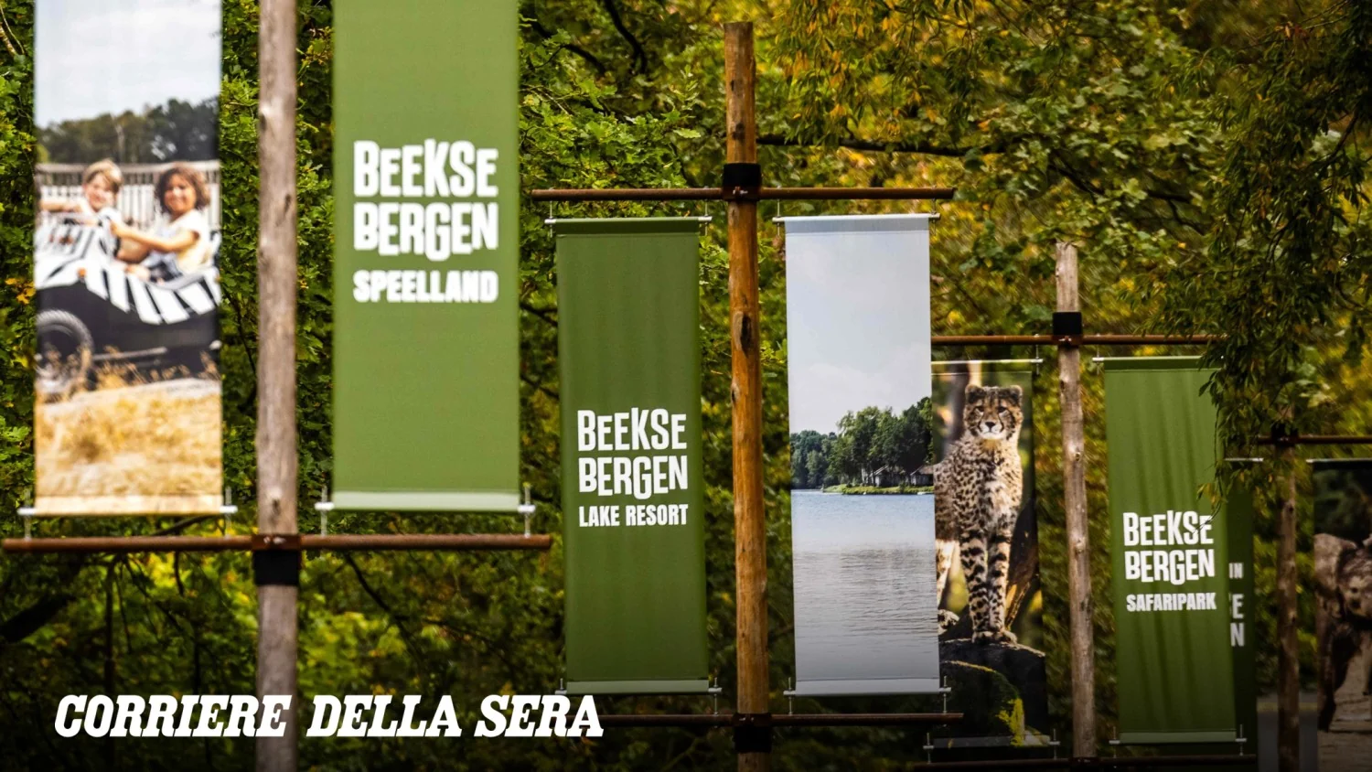 Guardiana morre após ataque de leopardos no Beekse Bergen: investigação busca respostas