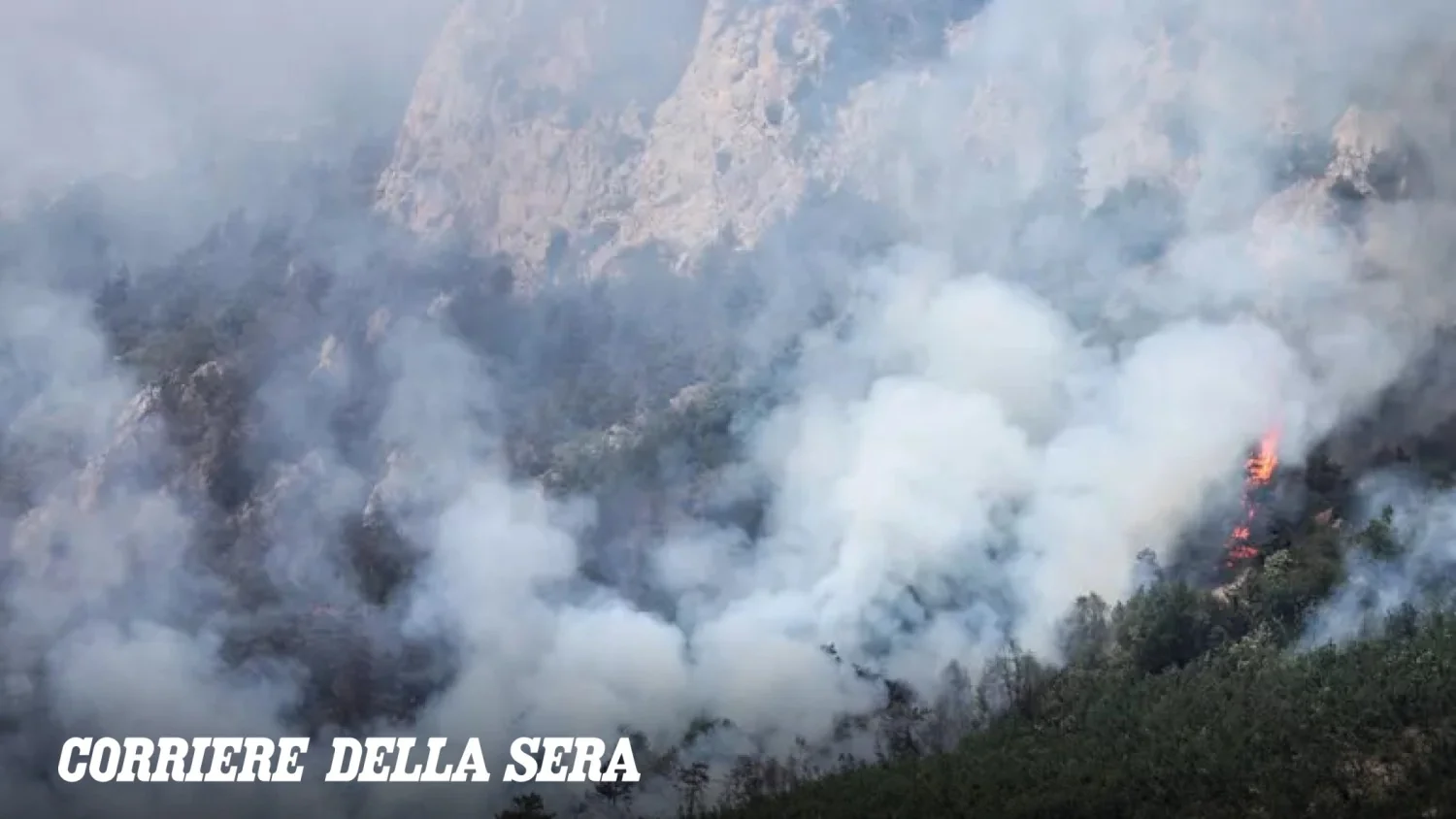 Incêndios florestais na Itália disparam 36% em 2026: mais de 130 mil hectares queimados, Sicília é a mais afetada