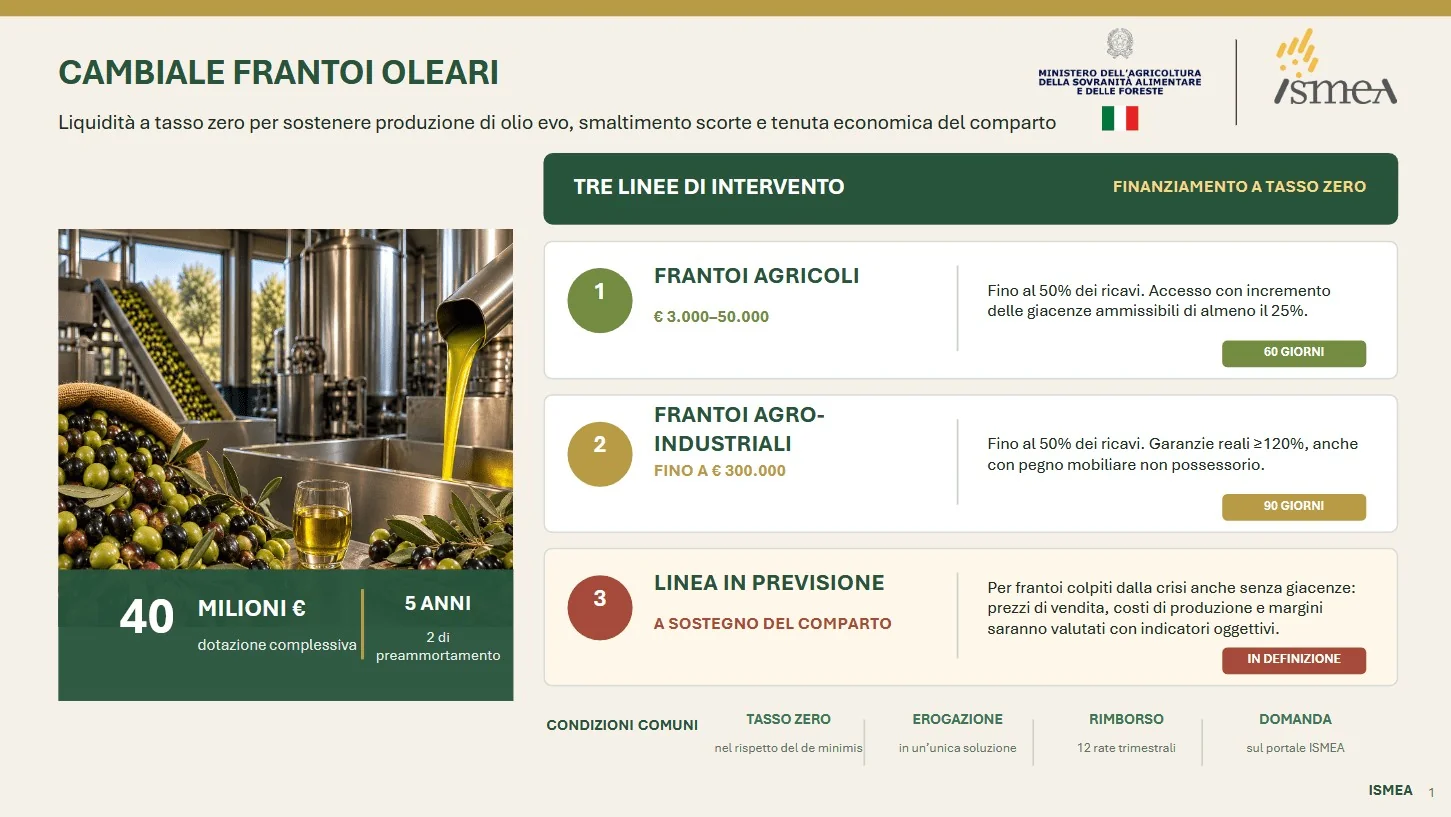 Ismea lança 'Cambiale Frantoi Oleari' com €40 milhões para fortalecer frantoi e capital de giro