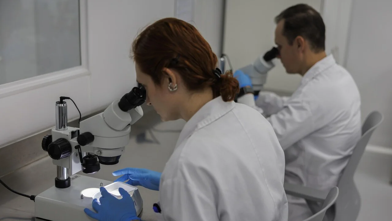 Mini medula espinhal em chip: pesquisa do Mario Negri testa nanopartículas para lesões