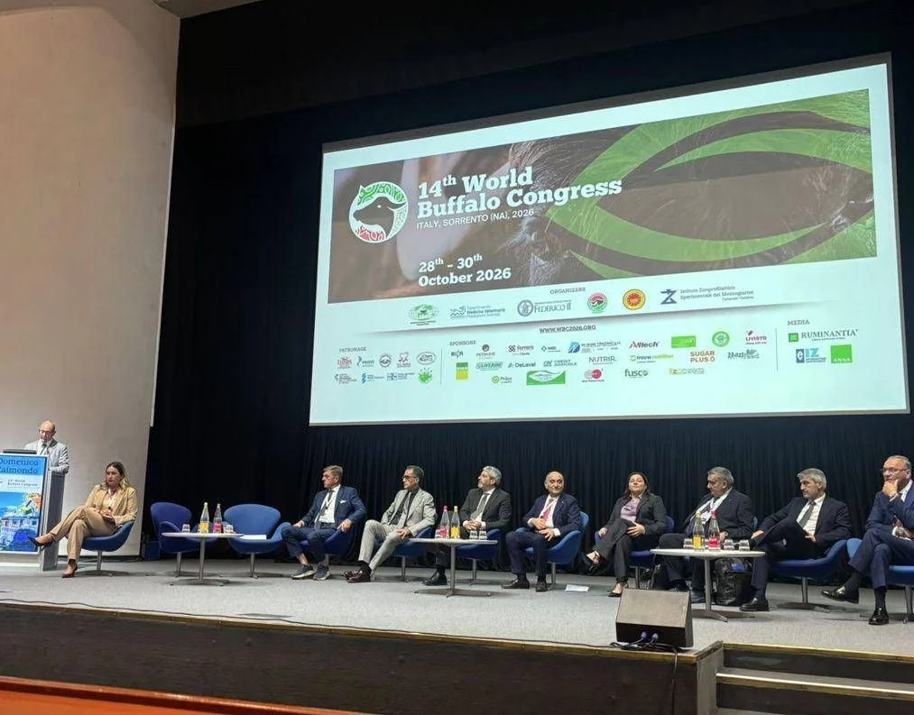 Mozzarella de búfala campana DOP e IA: roadmap do World Buffalo Congress para o futuro da cadeia