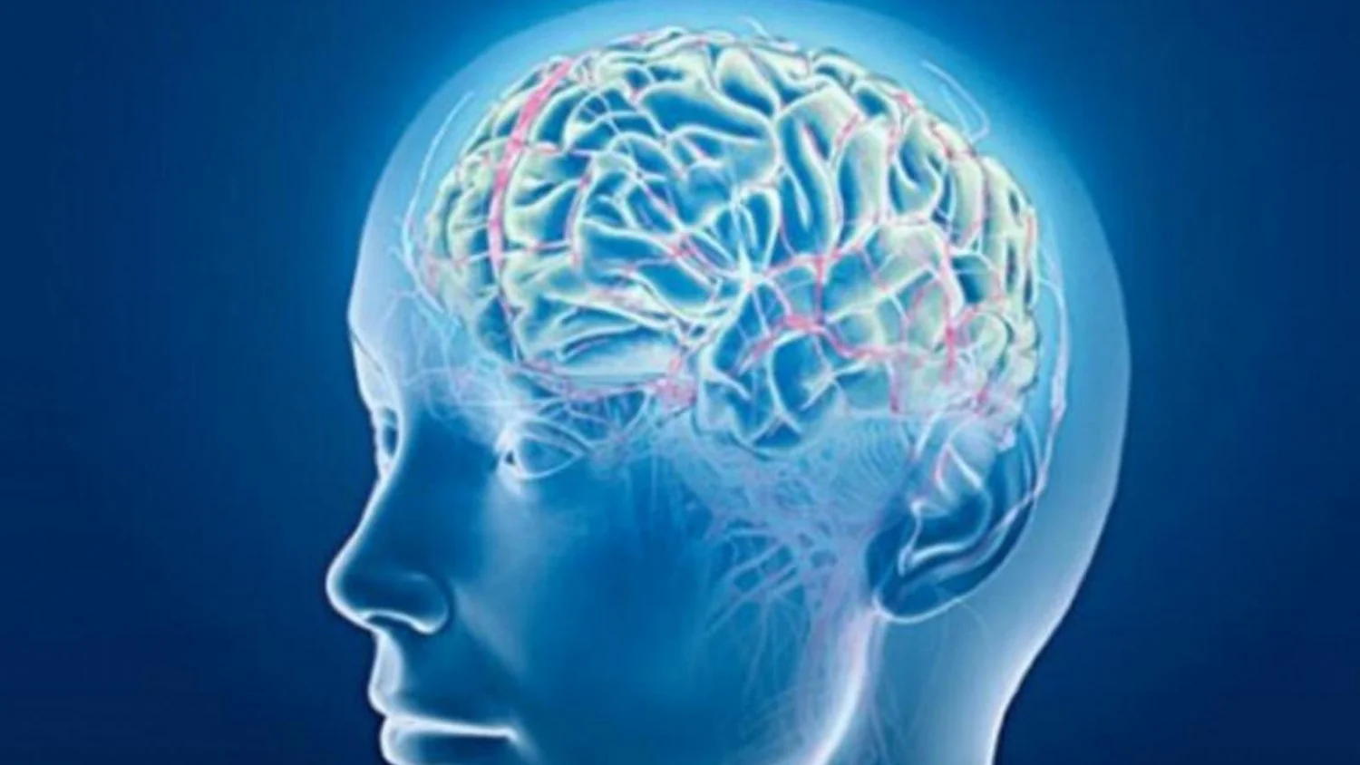 Nobel de Medicina 2026: Como a descoberta da optogenética nasceu de uma alga que persegue a luz