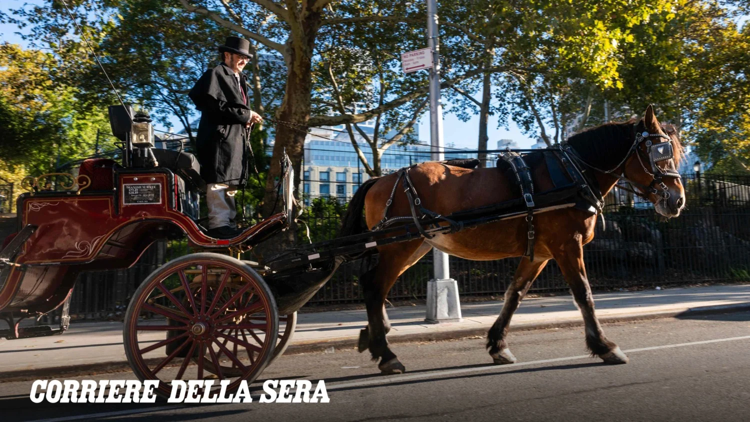 Nova York decide encerrar passeio de carroças em Central Park até junho de 2028: fim de um ícone em nome do bem-estar animal