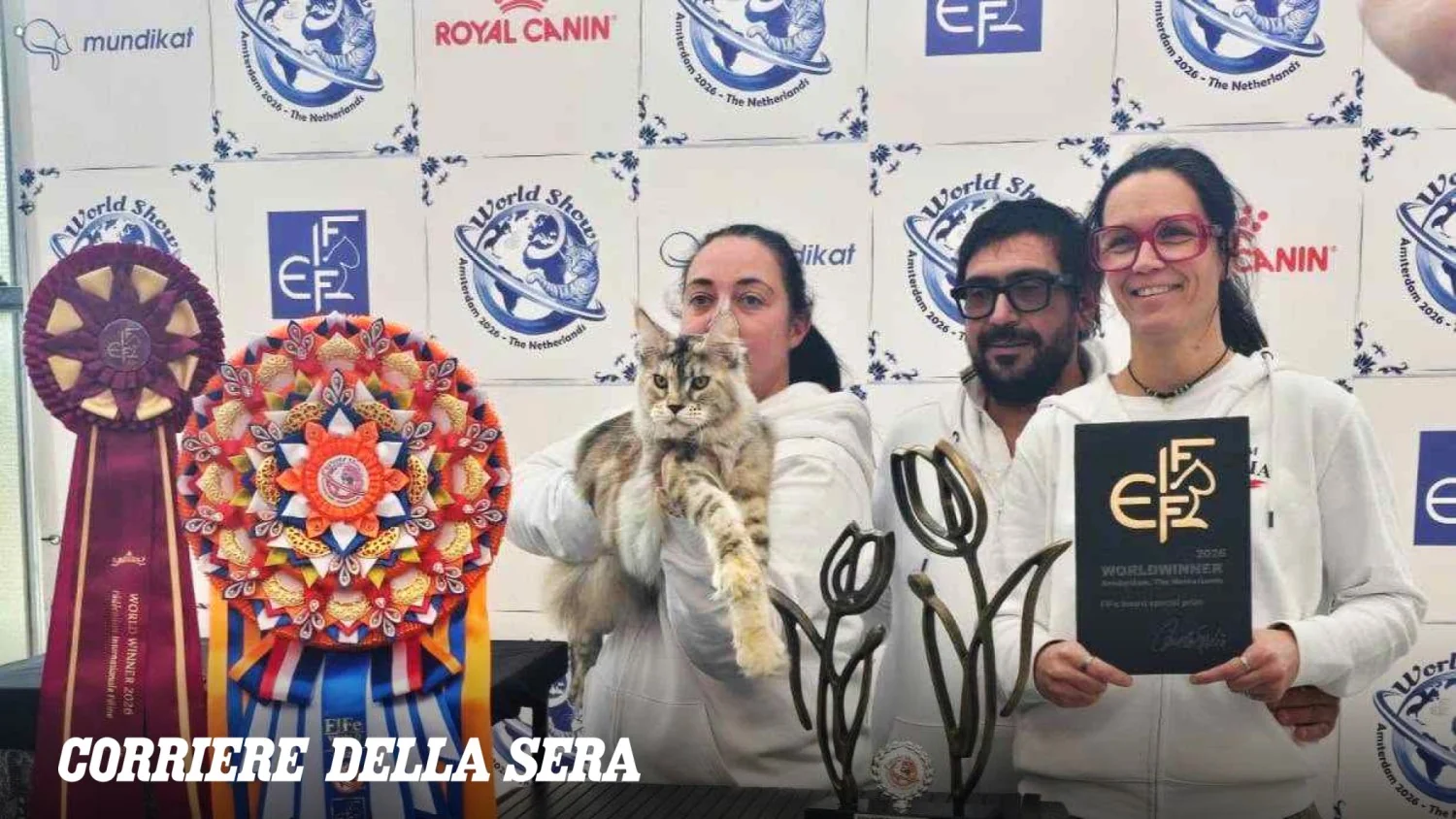 Olimpia, a Maine Coon italiana, é a campeã mundial no FiFe World Show 2026