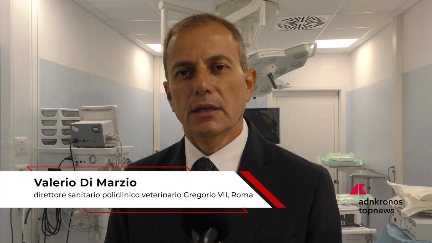 Policlinico Veterinario Gregorio VII abre portas a estudantes de Veterinária de Tor Vergata