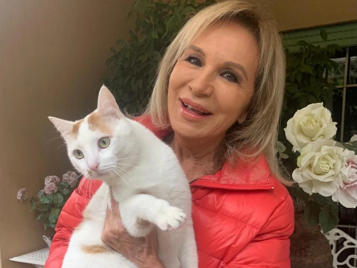 Rosanna Lambertucci: como dois gatinhos adotados se tornaram seus gatos terapêuticos