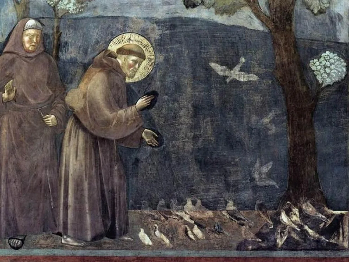 São Francisco e a nova festa nacional dos animais: celebrar nosso lugar na criação