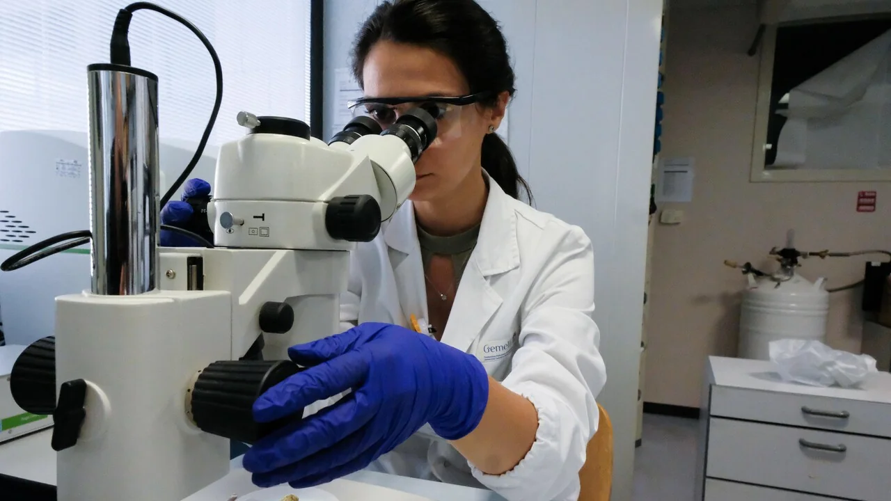 Nova combinação reduz em 58% o risco de morte no microcitoma pulmonar