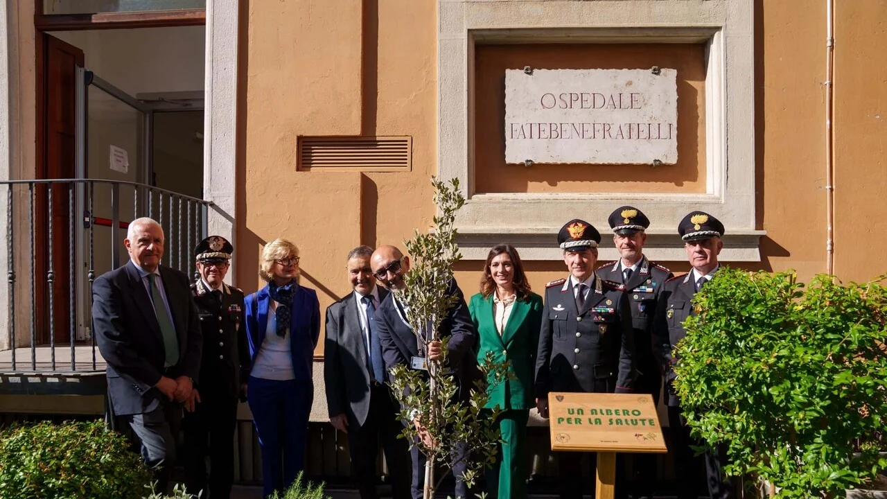 ‘Un albero per la salute’: 130 árvores plantadas em hospitais italianos em quatro anos