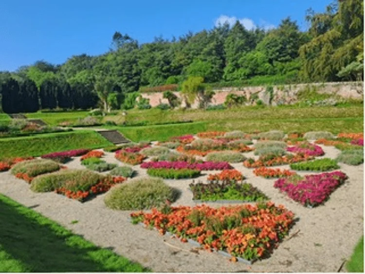 Walled Gardens da Irlanda do Norte: os jardins murados que preservam séculos de história e biodiversidade