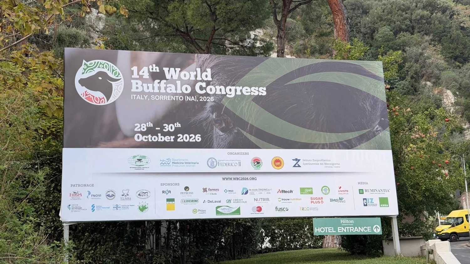 World Buffalo Congress aponta mapa para reduzir burocracia e acelerar inovação na mozzarella de búfala campana Dop