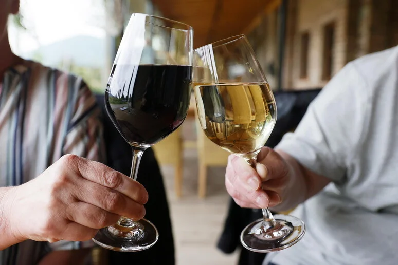 Como escolher o Vinho Ideal para o Natal? Cinco Opções Italianas