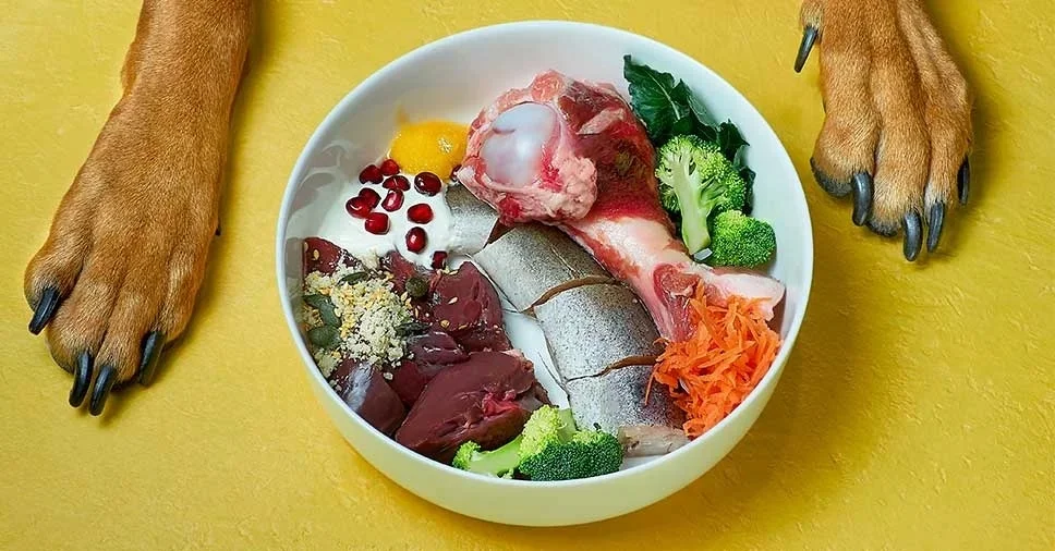 A Importância da Alimentação Natural na Dieta Canina