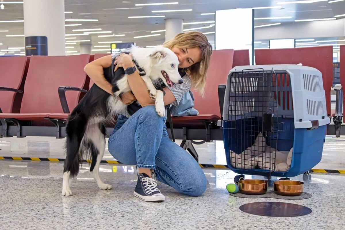 Companhias Aéreas Italianas Poderão Permitir Pets Acima de 10kg na Cabine