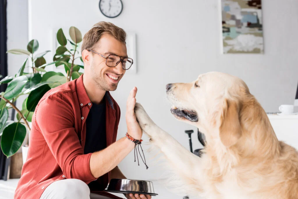 Vacinação Obrigatória de Cães e Gatos na Itália: O Que Você Precisa Saber