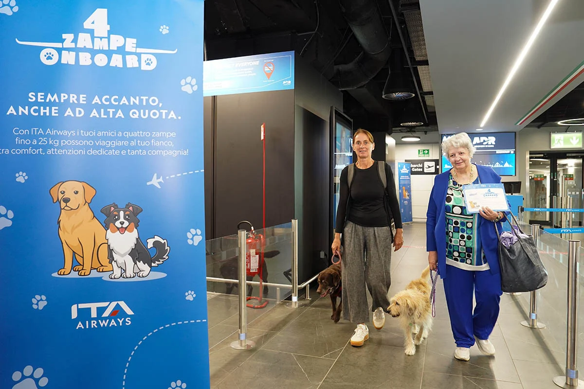 Cães de Grande Porte a Bordo: Honey e Moka Brilham em Voo Experimental na Cabine da ITA Airways