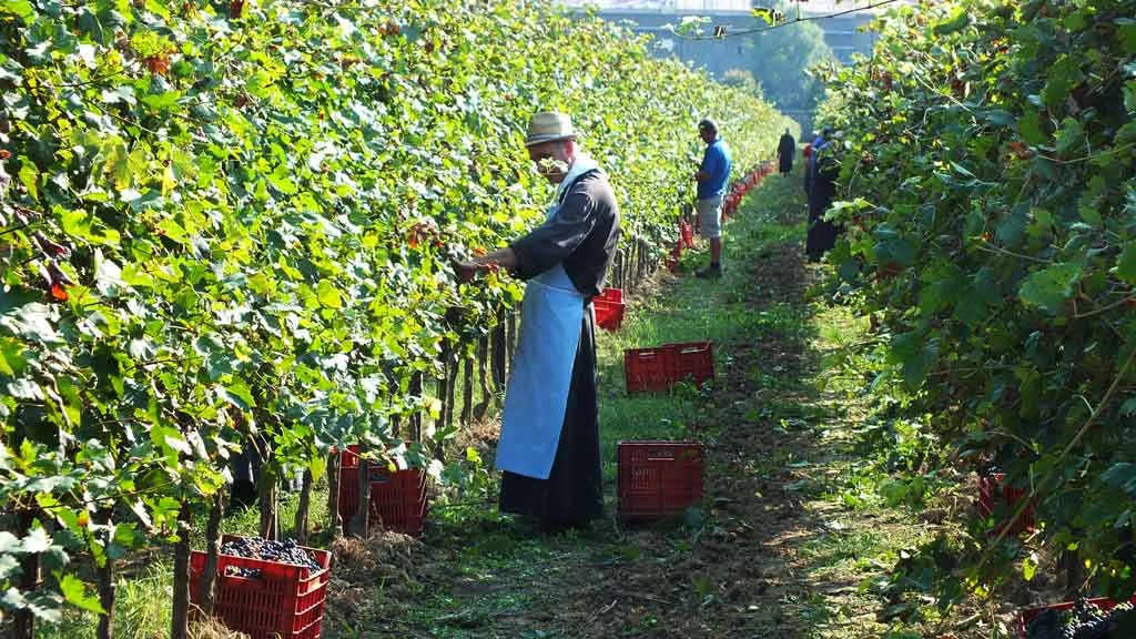 Abadia de Praglia: Um Mosteiro Histórico nos Montes Eugâneos