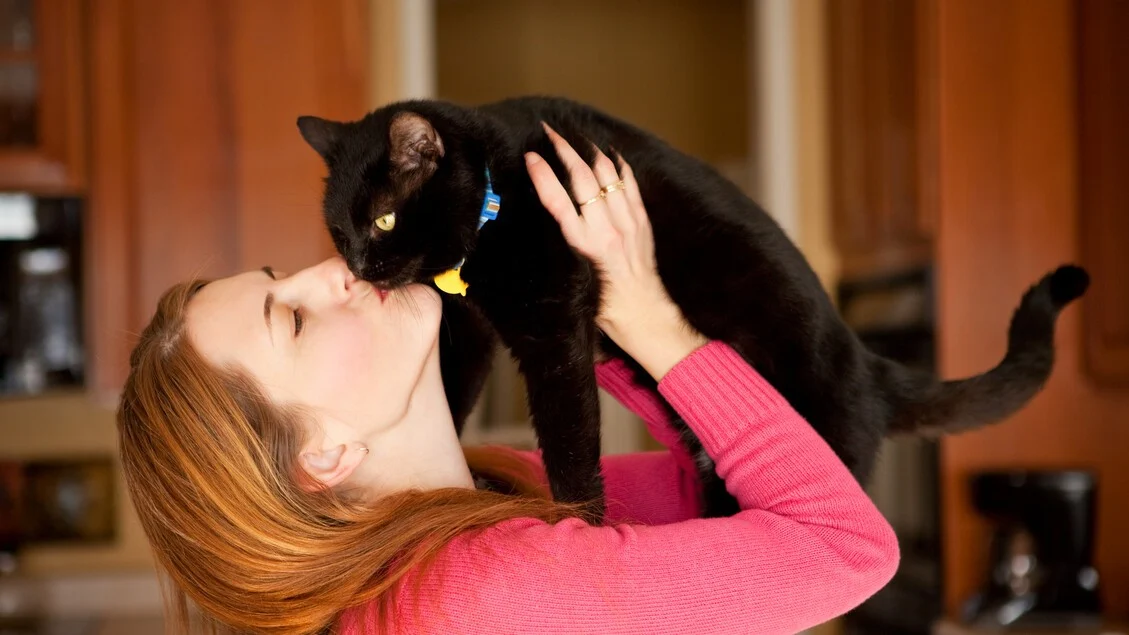 Sorte ou Azar? As Tradições Europeias sobre o Gato Preto