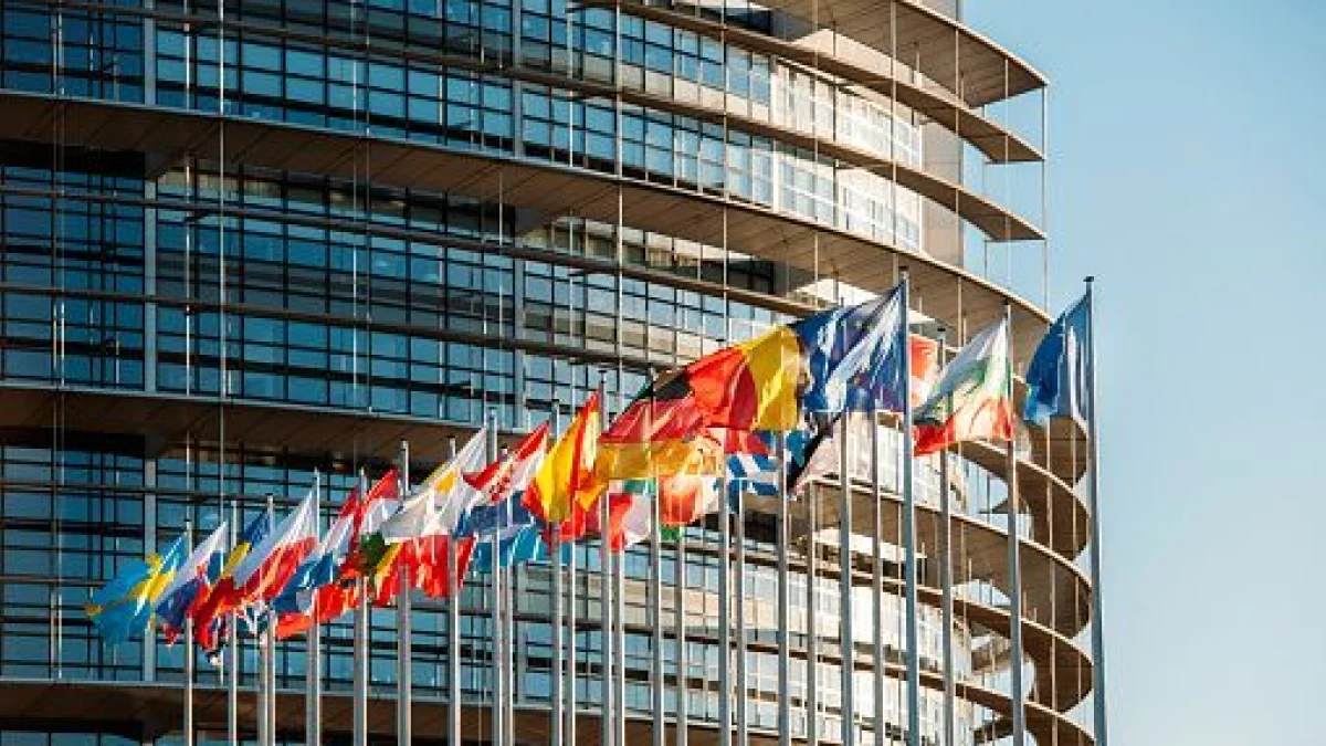 Corpo Europeu de Solidariedade: 550 mil jovens mobilizados em 7 mil projetos financiados