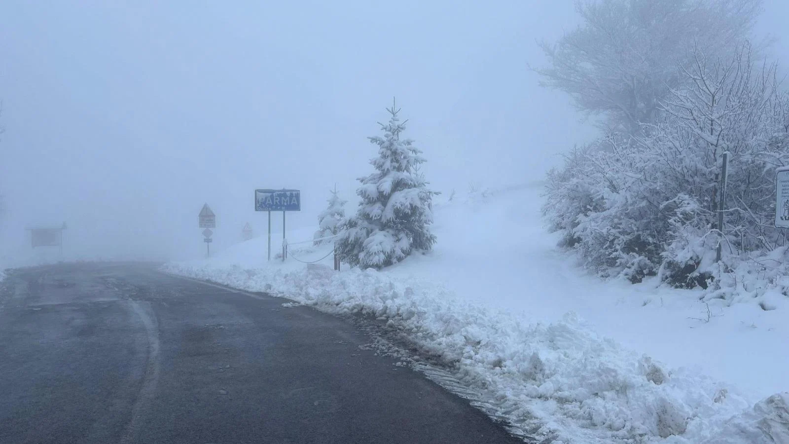 Allerta gialla por chuva e neve até a baixa altitude: oito regiões em atenção; árvore cai nos Fori Imperiali em Roma